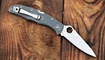 Складной нож Spyderco Endura