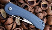 Нож CH Outdoor CH3015 G10 blue купить