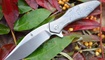 Нож Kizer Trifecta Ki5462A2