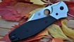 нож Spyderco Schempp Bowie C190 цена