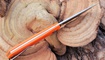 kupit skladnoy nozh realsteel luna lite orange 7036 v ukraine