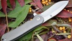 Нож Kizer Hustler Ki5464A1 купить