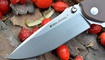 Нож Real Steel T101 Thor desert 7522