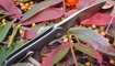 Нож Kizer Hustler Ki5464A1 фото