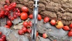 Нож Real Steel T101 Thor desert 7522 в Украине