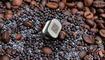 busina dlya temlyaka real steel hexagon silver kupit v ukraine