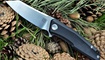 nozh stedemon knives zkc c02 luchshaya  tsena