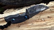 sheynyy nozh crkt ikoma civet kupit