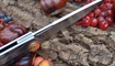 Нож Real Steel G3 Puukko Scandi 7811 в харькове