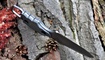 нож скрытого ношения Gerber Epic фото
