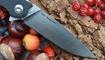 Нож Real Steel Megalodon 7420 отзывы