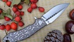 купить Нож Kizer Soveign Tang Ki4431