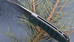 Нож Kizer V4478A2 Velox7