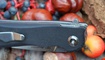 Нож Real Steel Megalodon 7420 фото