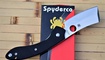 нож Spyderco Roc Cleaver C177 Украина