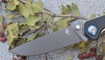 Нож Kizer V4458A1 Begleiter7