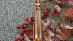Realsteel H6 Special Editon 7766 недорого в Украине