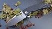 Нож Kizer V4484A1 Kyre3
