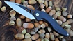 нож Brous Blades Isham Raven Flipper купить