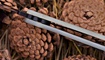 skladnoy nozh spyderco paramilitary 2 c81 kopiya foto