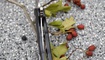 Нож Kizer V3454A1 Flashbang2