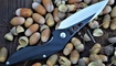 нож Brous Blades Isham Raven Flipper цена