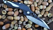 нож Brous Blades Isham Raven Flipper фото
