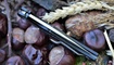 нож Spyderco Native 5 купить в Украине