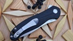 Нож Kizer V3463A1 Bad Dog12
