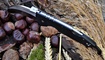 керамбит Cold Steel Tiger Claw 22KF купить