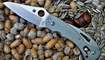 купить нож Spyderco Tusk Mariner Marlinspike C06