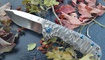 Нож Kizer Ki4469A1 Shoal5