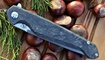 Нож Steelclaw Хамелеон-02 купить