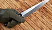 kukhonnyy nozh realsteel ohk-utility knife zakazat