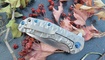 Нож Kizer Ki4469A1 Shoal