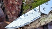 Нож Chris Reeve Large Sebenza 21 damask Днепр