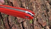 sheynyy nozh metamorph fixed red ukraina