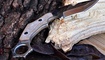 karambit wolverine knives wolf paw ukraina