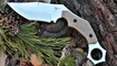 karambit wolverine knives wolf paw prodazha
