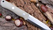 купить Охотничий нож Real Steel Bushcraft 3