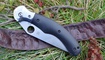 Нож Spyderco Hungarian Ethnic C173 харьков