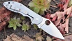 Нож Spyderco Domino C172 купить