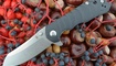 Нож Kizer Sovereign V4423A1