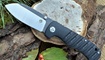 Нож Petrified Fish PF-714 black цена