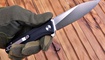 Petrified Fish Forward PF-818 купить