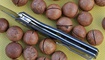 nozh realsteel terra carbon fiber 7454 skolko stoit