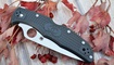 Нож Spyderco Endura 4 Emerson Wave C10 black7