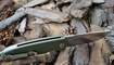 Нож Bestech Knives Lion BG01B в Украине