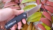 Нож Bestech Knives Lion купить в Украине