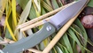 Нож Bestech Knives Warwolf BG04B